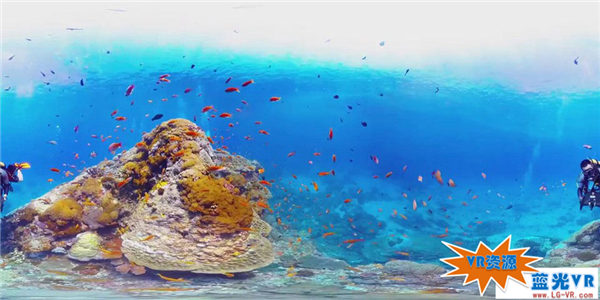探秘海底世界 239MB 极限刺激类VR视频