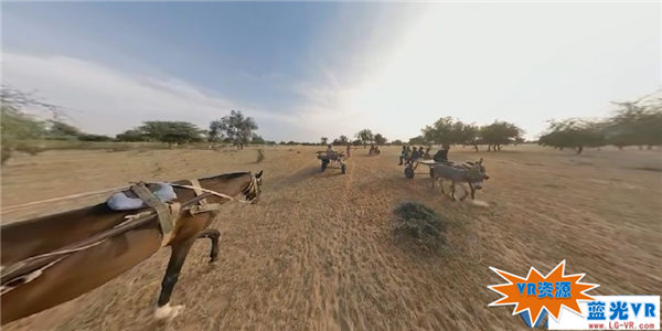 非洲大地VR视频下载 114MB 热点直击类