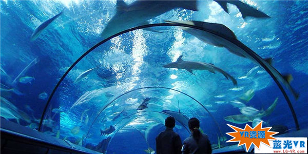 漫步鲨鱼世界VR视频下载 48MB 环球旅行类