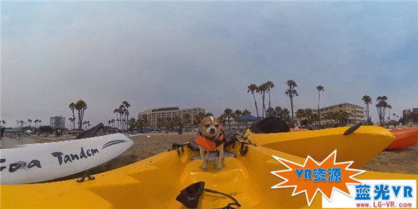 皮划艇与宠物狗VR视频下载 133MB 体育运动类