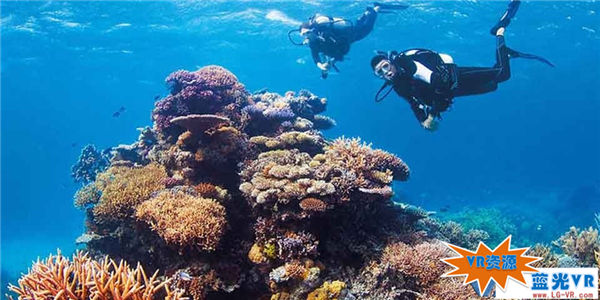 大堡礁水下奇观VR视频下载 141MB 环球旅行类