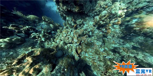 梦幻海底珊瑚下载 162MB 环球旅行类VR视频