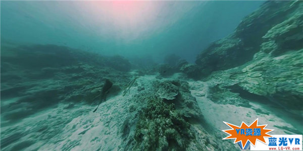 苍鹭岛海底生活下载 131MB 环球旅行类VR视频