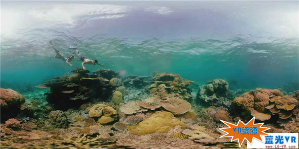 大堡礁海底浮潜下载 116MB 环球旅行类VR视频