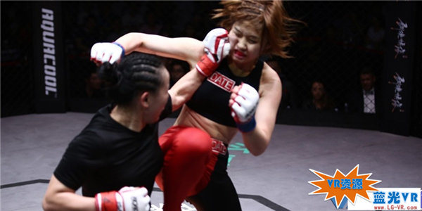 美女拳手中日对抗VR视频下载 197MB 体育运动类