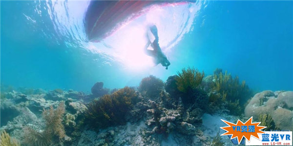 瓦伦海底伟大奇观VR视频下载 194MB 环球旅行类